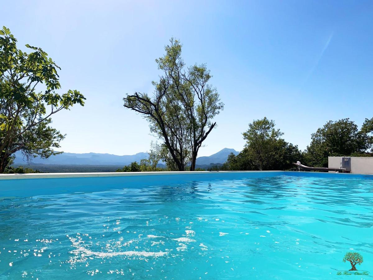 La Finca Olivetree Katuni Kültér fotó