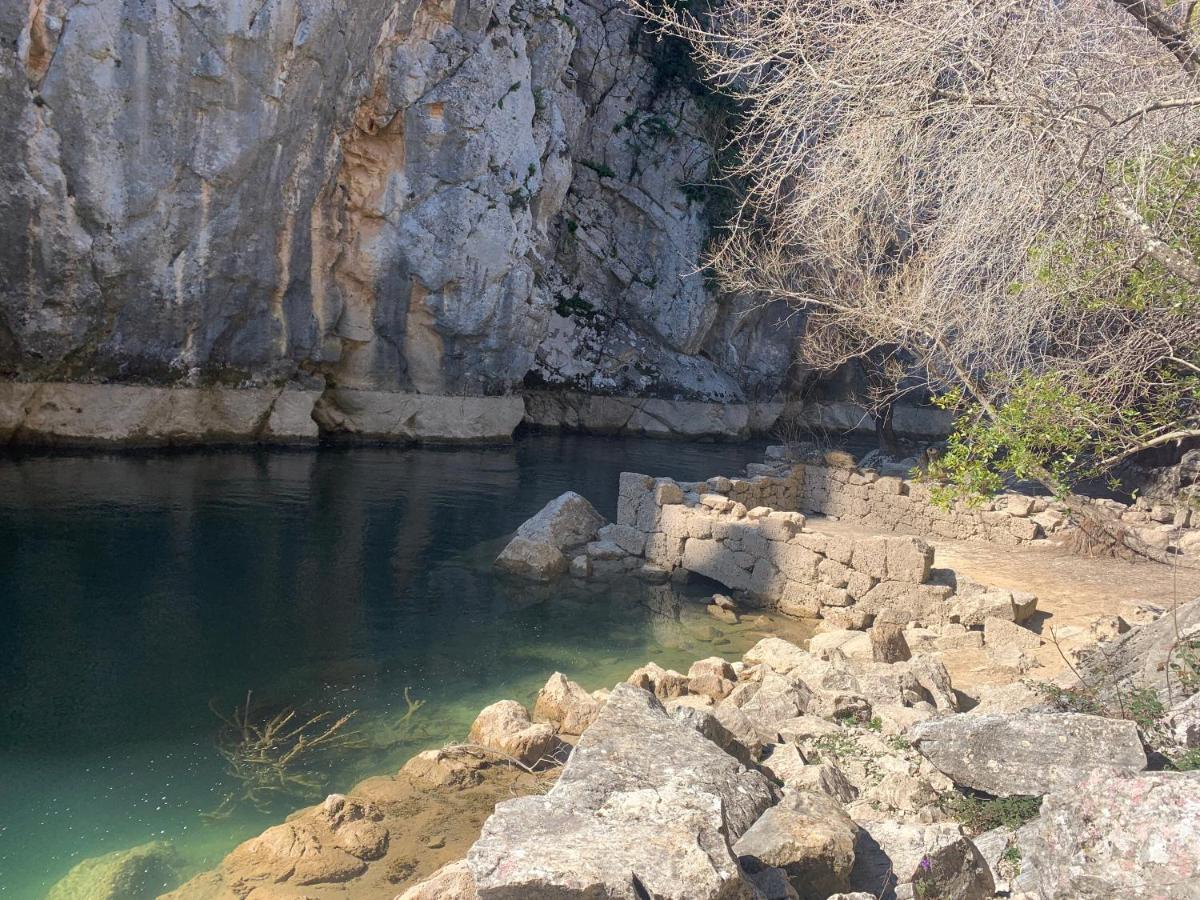La Finca Olivetree Katuni Kültér fotó